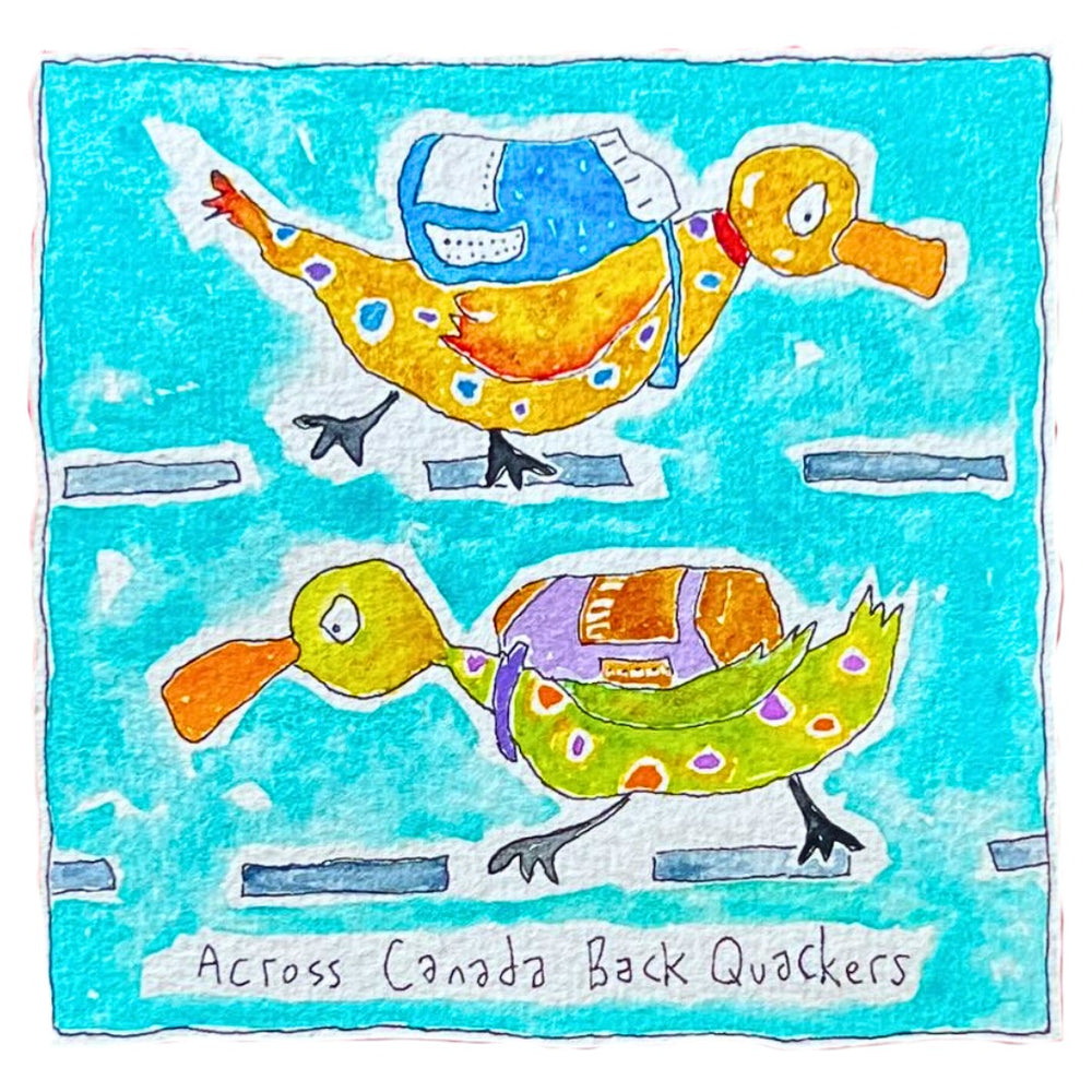 Across Canada Back Quackers (framed watercolour)