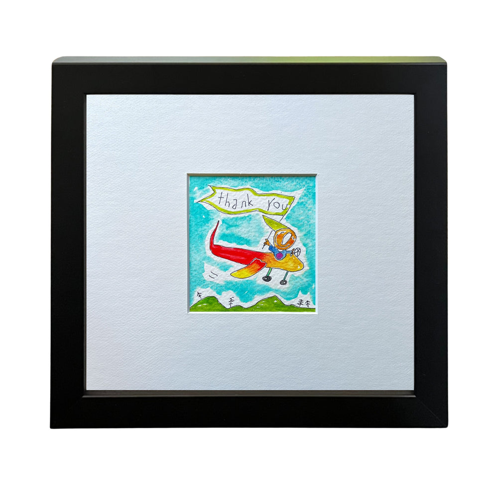 
                  
                    Thank you (plane) (framed watercolour)
                  
                