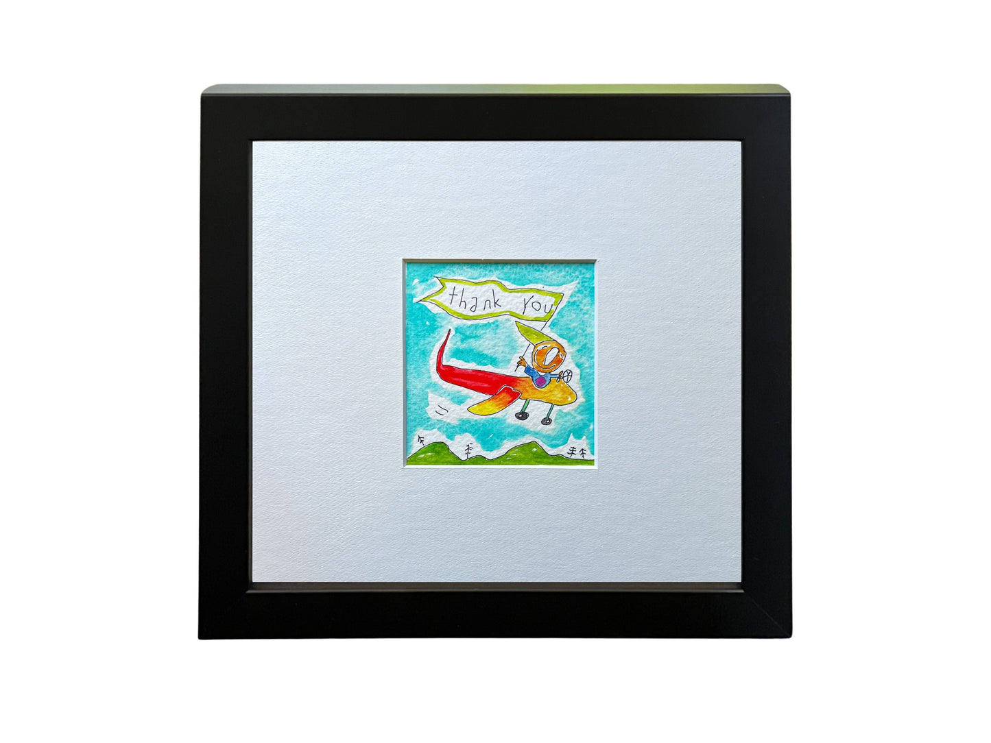 
                  
                    Thank you (plane) (framed watercolour)
                  
                