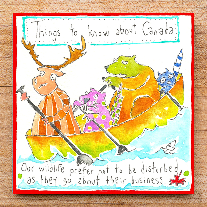 Things to know about Canada... Our wildlife prefer not to be disturbed...
